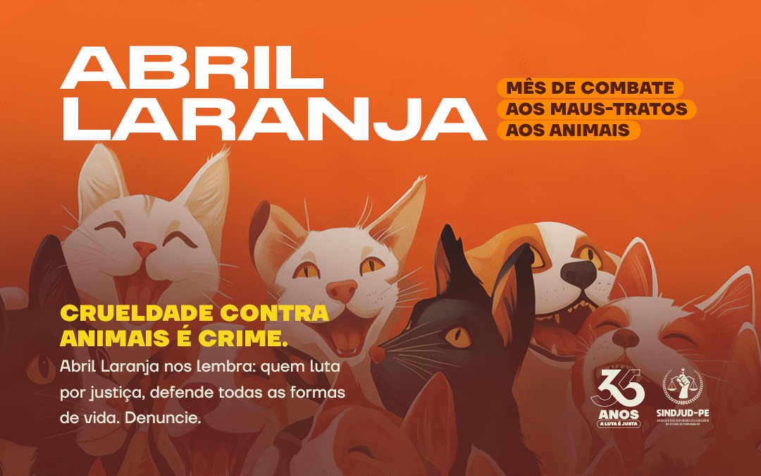 ABRIL LARANJA | MÊS DE COMBATE AOS MAUS-TRATOS AOS ANIMAIS