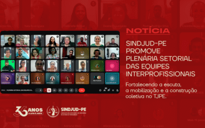 SINDJUD-PE PROMOVE PLENÁRIA SETORIAL DAS EQUIPES INTERPROFISSIONAIS