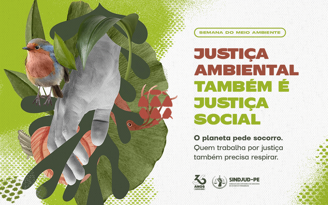 SEMANA DO MEIO AMBIENTE | SINDJUD-PE
